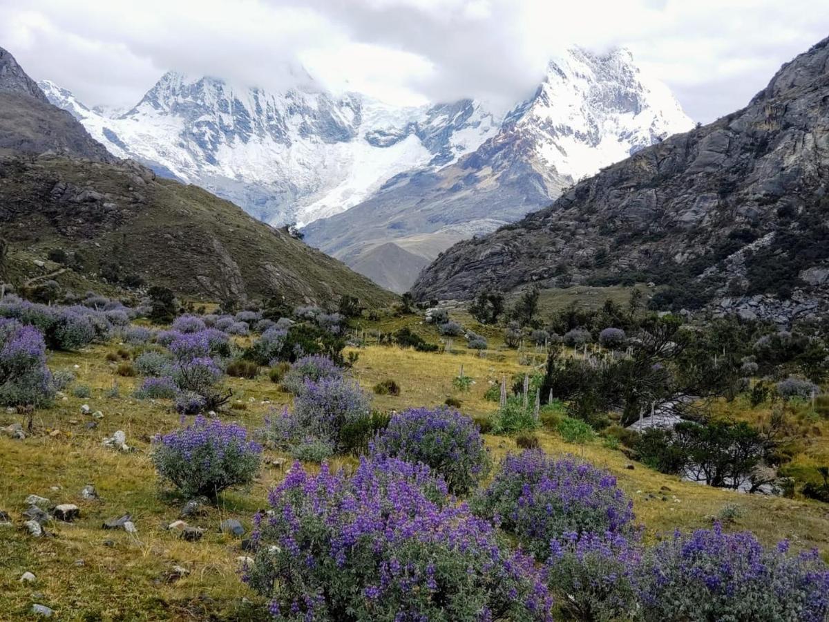 Lhotse Hostel B&B Huaraz  Zewnętrze zdjęcie